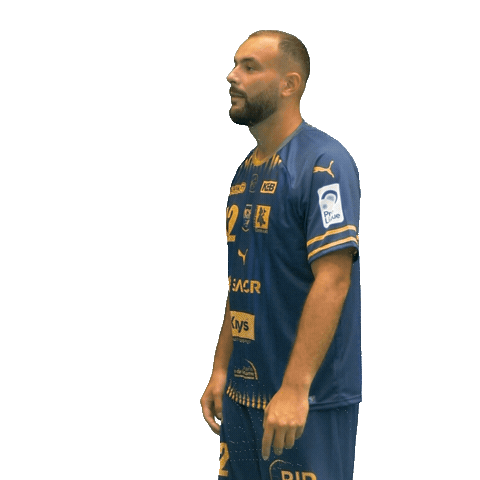 Pontault Pchb Sticker by Pontault-Combault Handball