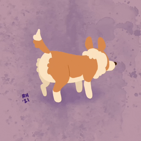 Sploot GIF