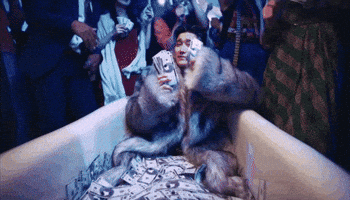 Money GIF