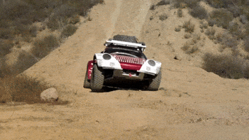 Porsche Edith Warp Connector Undulations GIF