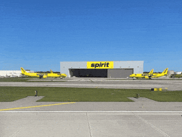 Travel GIF