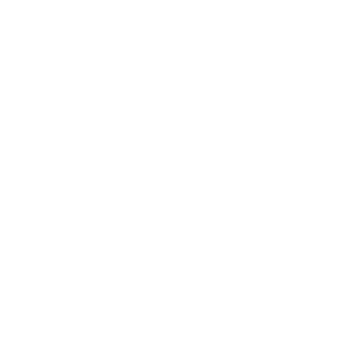 Photography Camera Sticker by the Syndicate