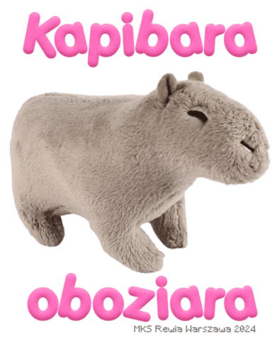 Figure Skating Rolki Sticker by MKS Rewia Warszawa