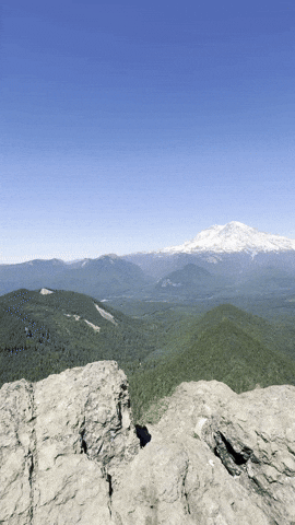 giphy.gif?cid=9b38fe91nw5k68vwr10nmfnry7