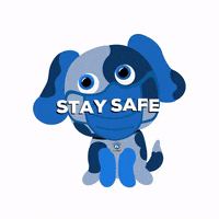 Sam Stay Safe GIF by SAFE Inc