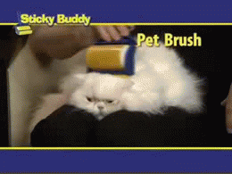 brush