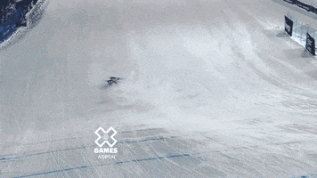ski skiing GIF by X Games 
