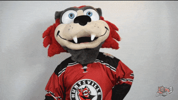 How Are You Hello GIF by Huntsville Havoc