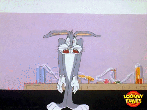 Image result for looney tunes gif"