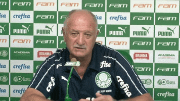 Entrevista felipao GIF by SE Palmeiras