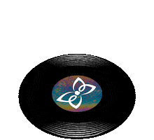 Pride Vinyl Disc Sticker by Polygonal Mind
