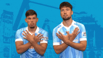 Football Cfc GIF by ChemnitzerFC