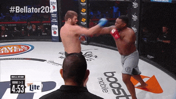 mixed martial arts fighting GIF by Bellator