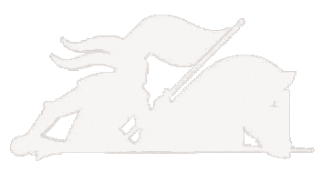 Horse Knight Sticker by FRENCH EXPRESS