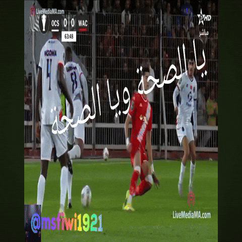 Wac Wydad GIF