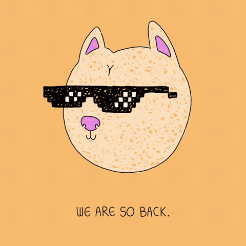 Dog Deal With It GIF