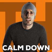 Dont Worry Calm Down GIF by TheFactory.video