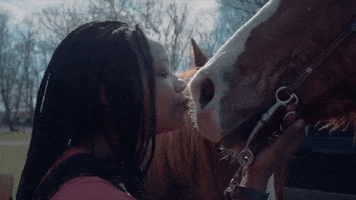 rodeo nowness picks GIF by NOWNESS