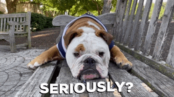 Angry Butler Bulldogs GIF by Butler University