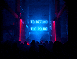 Defund Decriminalize GIF