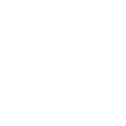Tasmanian Dance Expo Sticker