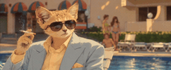 Sndk GIF