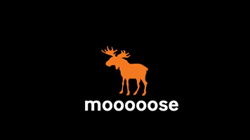 bigmoosecharity moose bigmoose orangemoose bigmoosecharity GIF