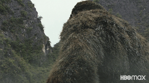 Sad King Kong GIF by HBO Max - Sad King Kong GIF by HBO Max