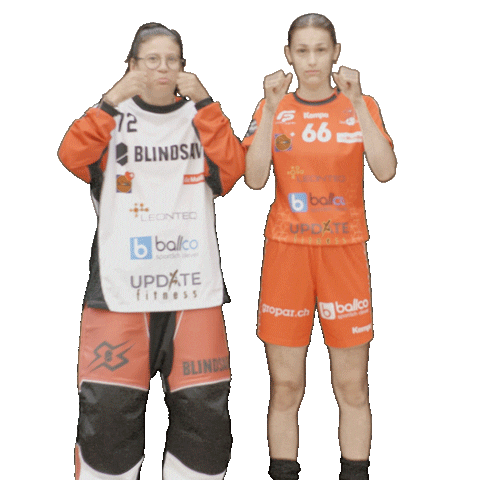 Red Ants Rychenberg Winterthur Sticker