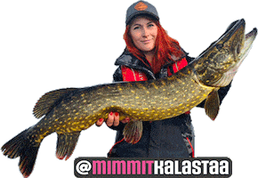Fishing Pike Sticker by Suomen Vapaa-ajankalastajat