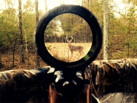 scope for hunting