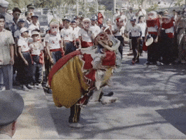 Chinese New Year Vietnam GIF by US National Archives
