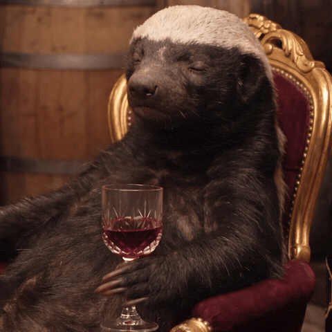 Honey Badger GIF by Smart Operator