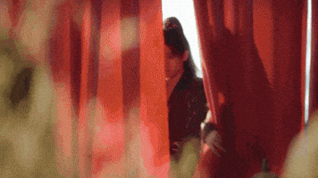 Shadow Love GIF