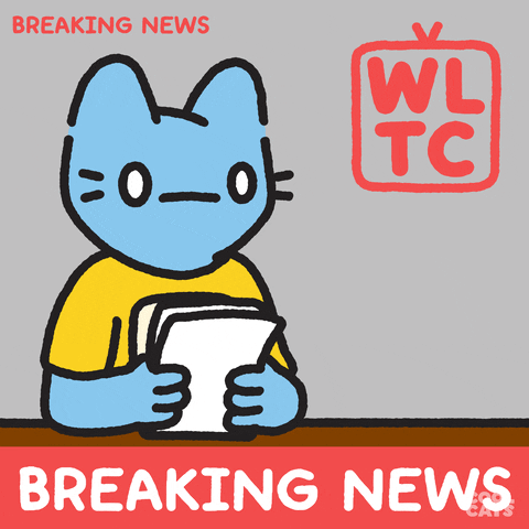Guess What Breaking News GIF by Cool Cats