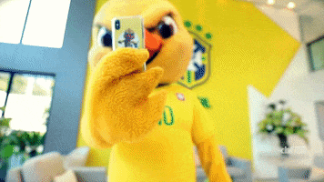 selecao brasileira brazilian mascot GIF by Confederação Brasileira de Futebol