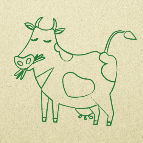 Cow Bio GIF by BioSuisse