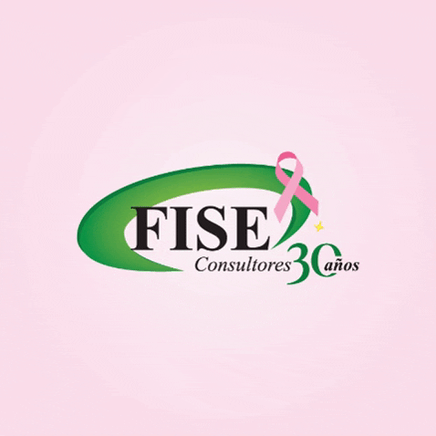 Seguros Asesores GIF by FISE Consultores
