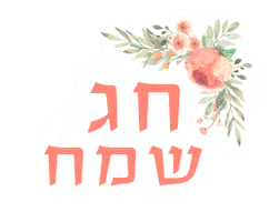 נוי מוזס Sticker