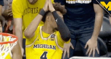 Lets Go Wolverines GIF by Michigan Athletics