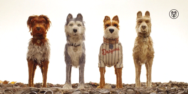 Image result for isle of dogs gif"