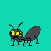 Bug GIF by Chris Piascik