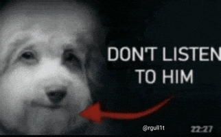 Dog Listen GIF