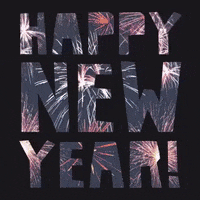 Happy New Year Fireworks GIF by evite