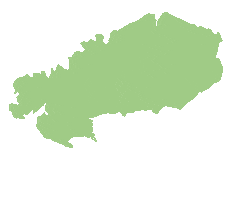 Lemonisland Sticker by Ateliercologne