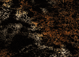 Nft GIF