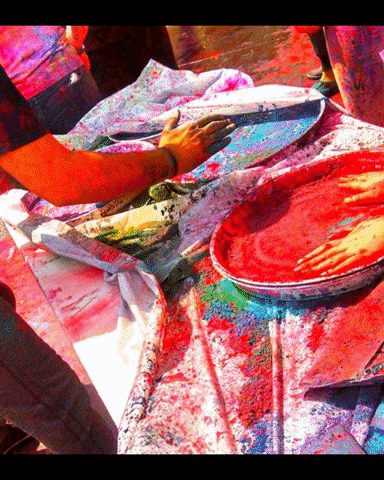 We Belong Umdlibrary GIF by Kathryn A. Martin Library