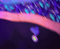 Xqc GIF