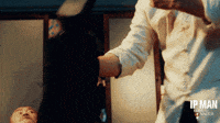 Ip Man Gif GIFs