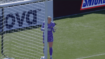Calm Down Womens Soccer GIF by National Women's Soccer League